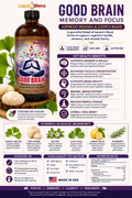 Good Brain Memory and focus (Ginko Biloba & Lions Mane)